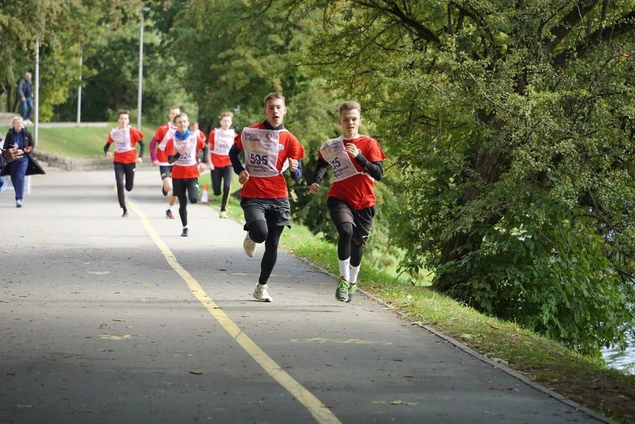 Бег кросс нации. Кросс нации иркутск 2022 год. Всемирный день бега. Кроссовый бег. Бег кросс нации.