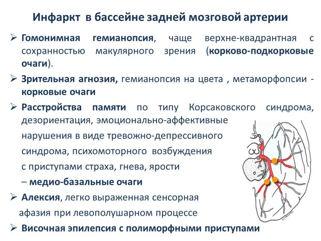 Инсульт задней мозговой артерии. Инсульт в бассейне средней мозговой артерии симптомы. Инфаркт в бассейне средней мозговой артерии. Задняя мозговая артерия симптомы поражения.