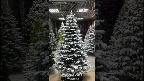 Max christmas отзывы