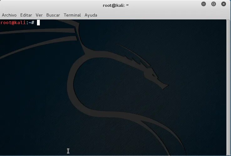 Кали линукс эмблема. Kali Linux Terminal. #Root Кали линукс. Ошибки при скачивании Кали линукс.