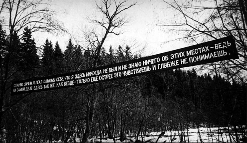 Никогда не читавший ничего. Я никогда здесь не был и ничего не знаю об этих местах. поездки за город коллективные действия. я ни на что не зажулуюсь. я ни на что не жалуюсь.