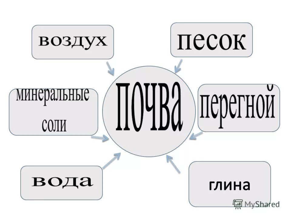 состав почвы схема. конспект урока состав почвы 3 класс. план почвы 3 класс. доклад про почву 3 класс по окружающему миру. конспект урока состав почвы 3 класс.