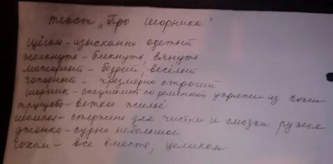 Словосочетание со словом чопорный