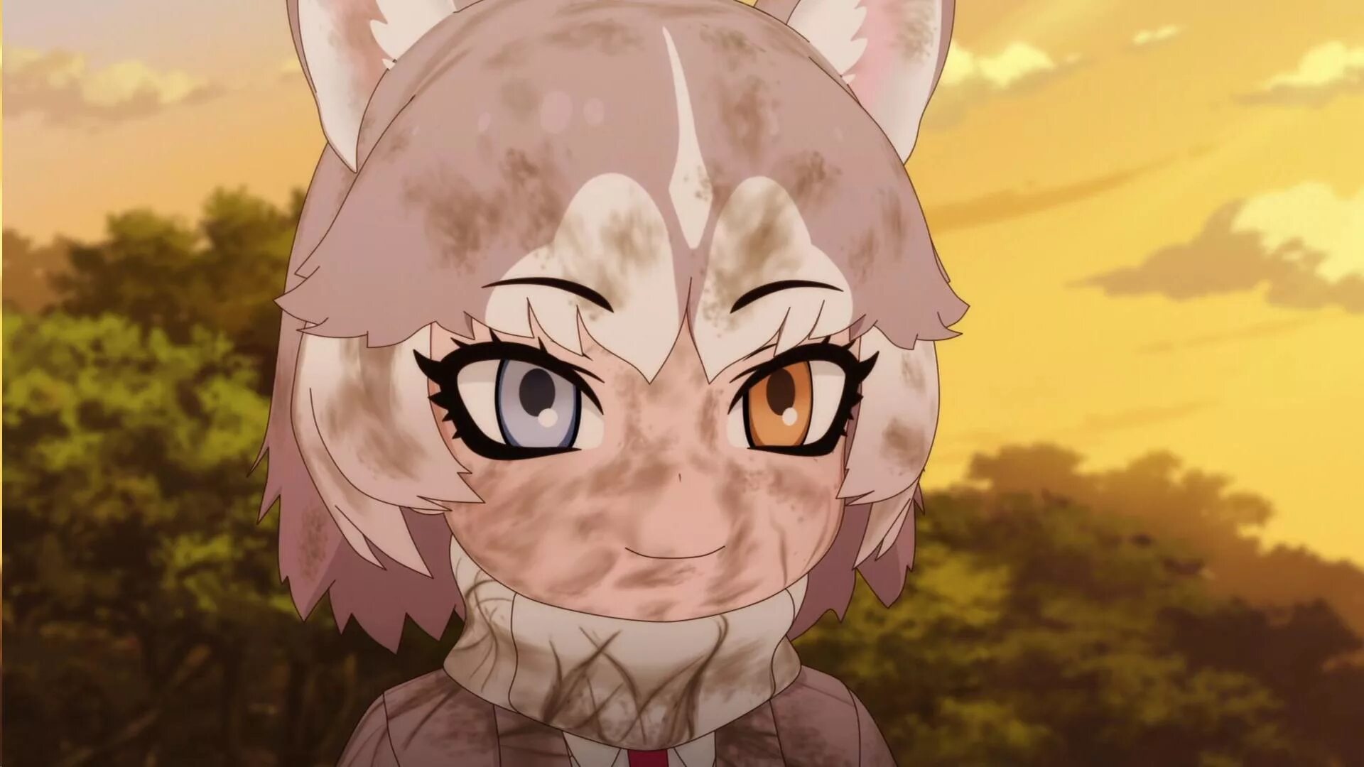 Kemono не обновляется. Kemono friends. kemono friends собака.