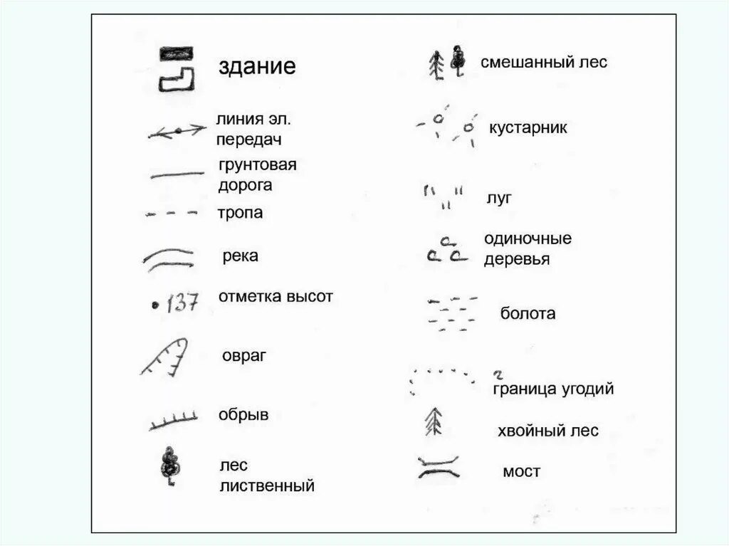 Обозначения леса на карт. Условный знак смешанного леса. Смешанный лес топографическое обозначение. Условный знак смешанный лес просека. Опушка смешанного леса условный знак.