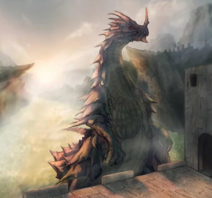 Old dragons net