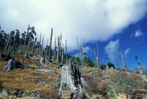 Extreme environment