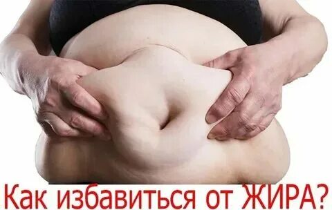 Не до жиру быть бы живу значение