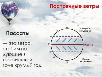 Дуют к экватору постоянно