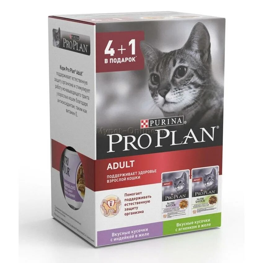 Корм проплан для кошек купить в спб. Pro Plan Sterilised для кошек. Pro Plan Nutrisavour Sterilised влажный. Purina Pro Plan Sterilised консервы. Pro Plan® Nutrisavour® Adult для взрослых кошек, с ягненком в желе.