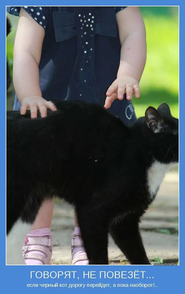 не повезет если черный кот дорогу перейдет. говорят не повезет если черный кот смешное. не повезет если черный кот дорогу перейдет. не повезет если черный кот дорогу перейдет. не повезет если черный кот дорогу перейдет.