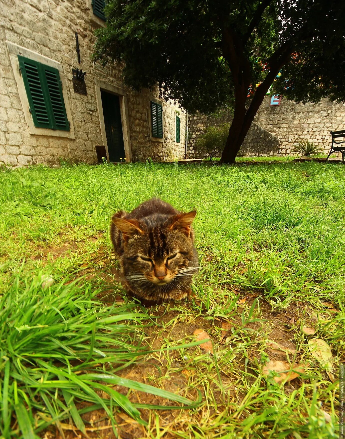 боко-которская бухта черногория. вокруг ч. черногория бухта с подводками. "ломоносовская школа. изучаю мир вокруг для детей 6-7 лет ломоносовская школа с.