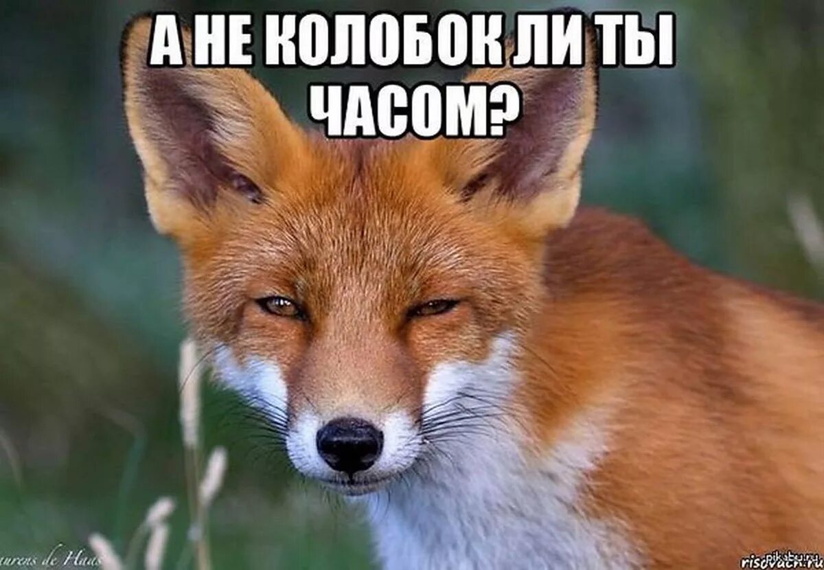 Хитрый это