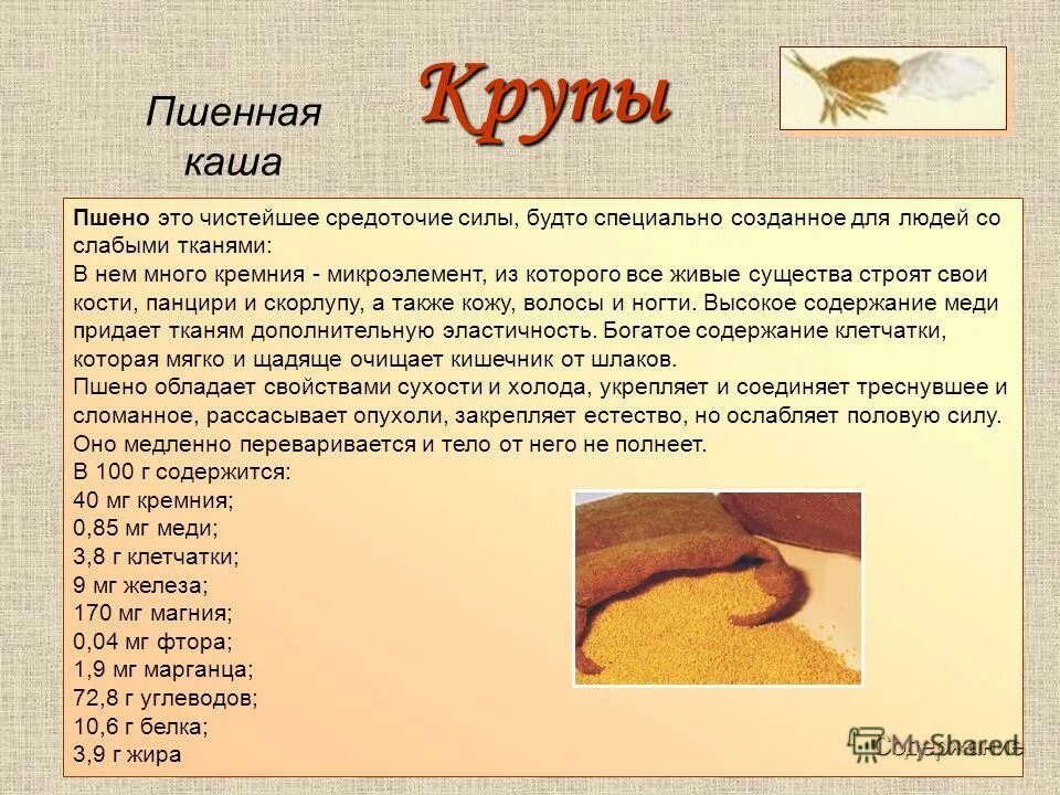 чем полезна пшенная каша. проект на тему каша. сообщение о пшенной каше. чем полезна пшенная каша. пшено пшенная каша.