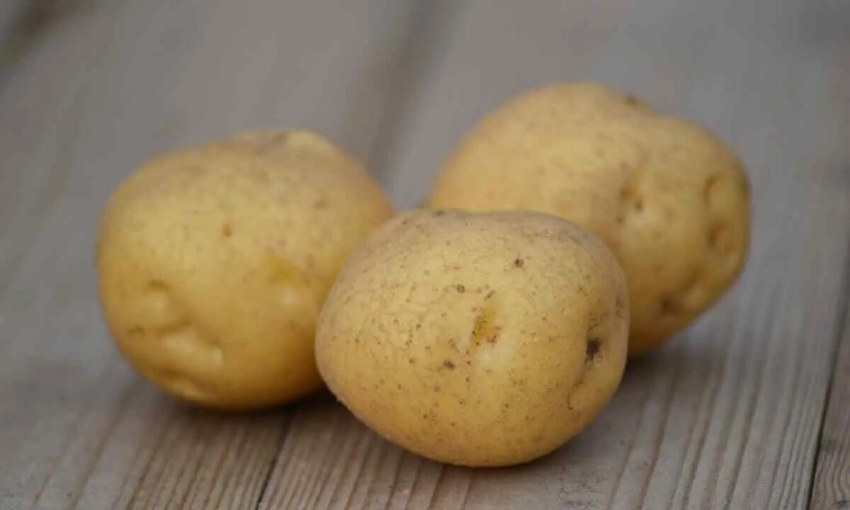 Желтые сорта картофеля фото. Картофель семенной джелли. сорт картофеля голубизна. картофель семенной голубизна. картофель семенной лидер.