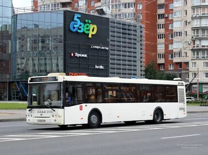 Автобус 60 спб