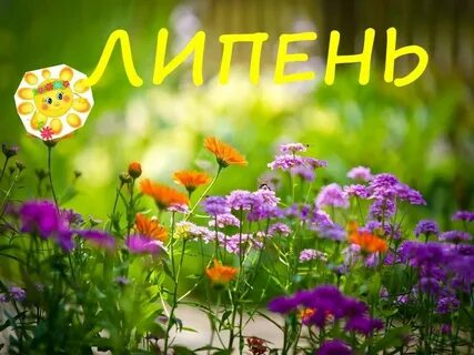 Липень