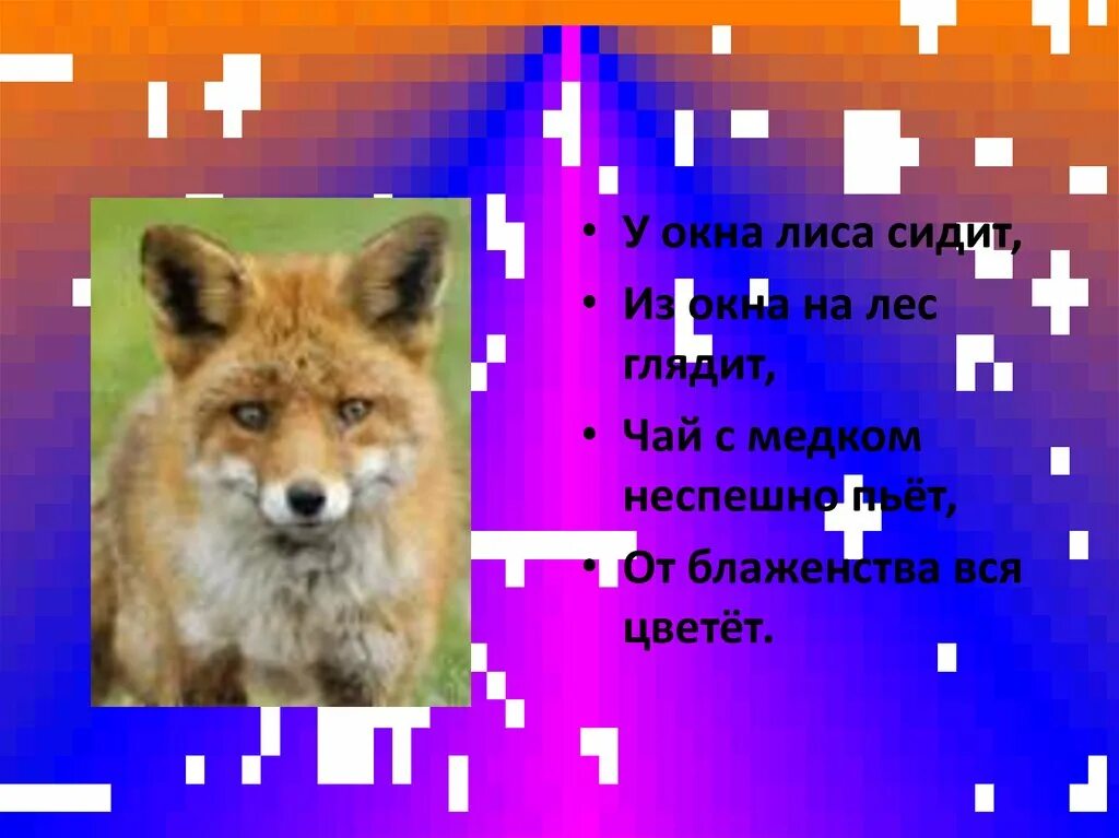 Лисье окошко