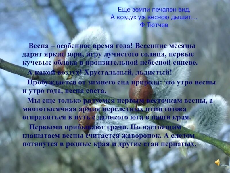 Ф тютчев еще земли печален вид. Ещё земли печален вид. Ещё земли печален вид а воздух уж весною. Стих ещё земли печален. Стих ещё земли печален вид.