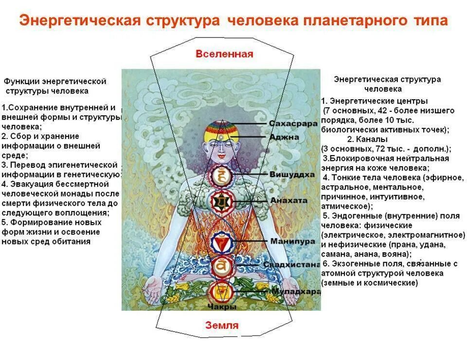 Взаимосвязь структур организма начиная с наименьшей. Строение энергетического тела человека. Тонкие тела и чакры. Чакры человека. Тонкие тела человека и чакры.