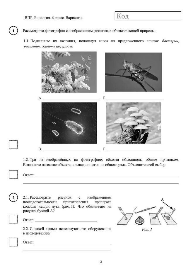 ВПР 5 класс биология с ответами. ВПР 5 класс биология 1.2. ВПР по биологии 5 класс вариант 2.1. ВПР по биологии 5 класс 2022 с ответами. Впр 5 класс биология с ответами 7