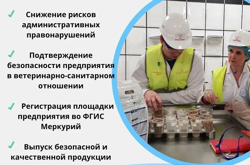 Ветеринарная служба 1 отзывы. Структура госветслужбы. Ветеринарная служба. План профилактических противоэпизоотических мероприятий. Ветеринарная служба 1 отзывы.