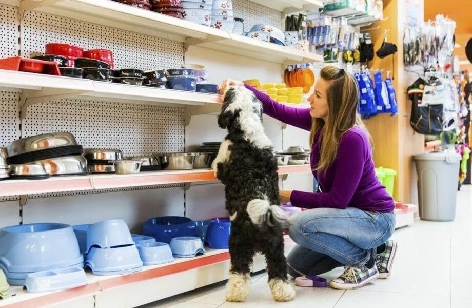 Зоомагазин. Товары для животных. Магазин животных. Собака в зоомагазине. Pet shop магазин