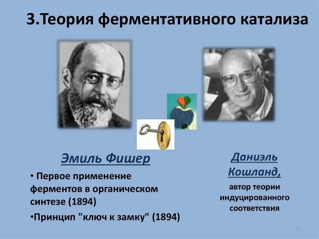 Теории ферментативного катализа биохимия. Теория Фишера и Кошланда. Гипотеза Фишера и Кошланда. Ферменты теория.