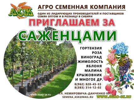 Агро саженцы