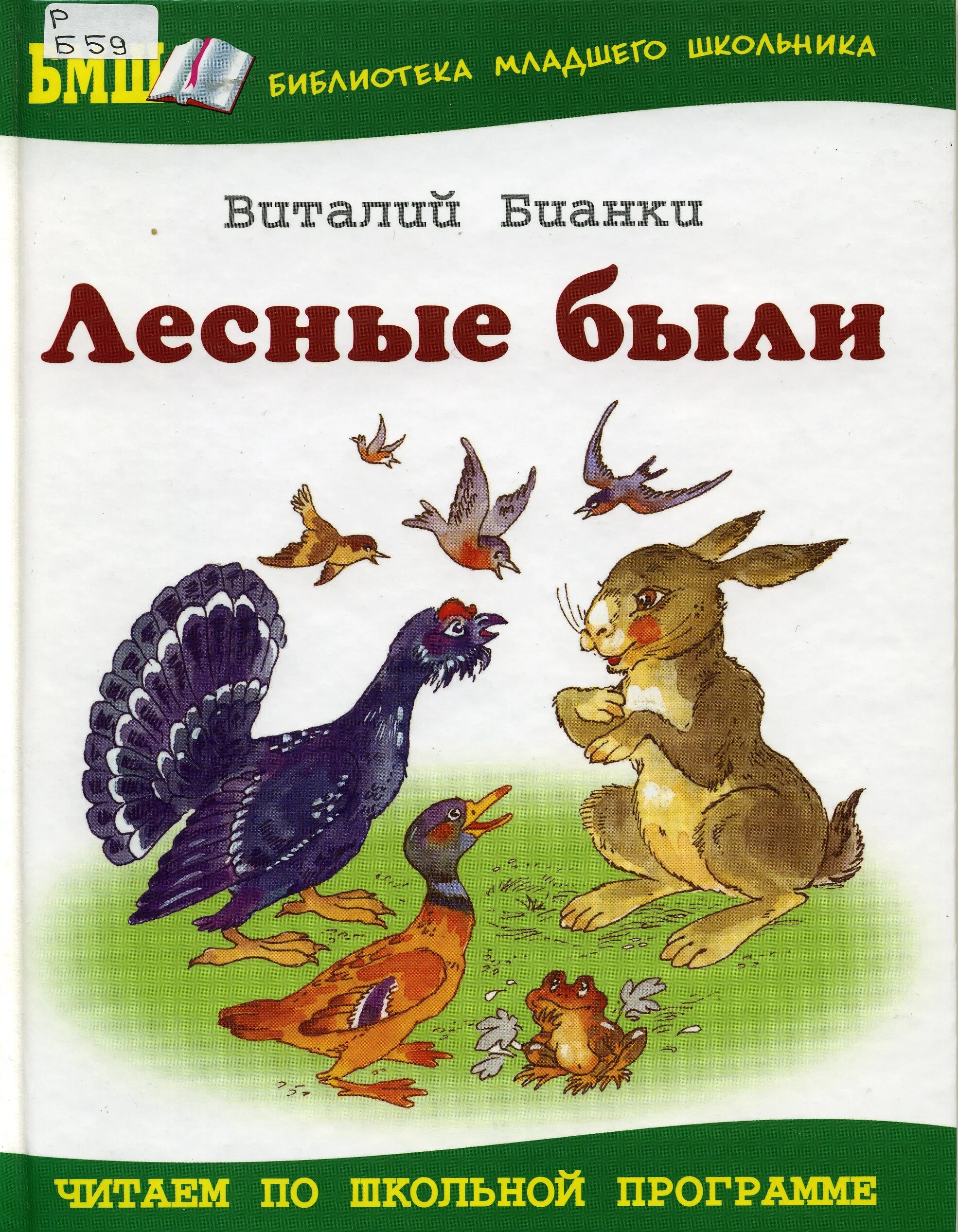 Лесные были и небылицы книга. Лесные небылицы бианки. Бианки небылицы. Бианки лесные были и небылицы. Бианки небылицы.