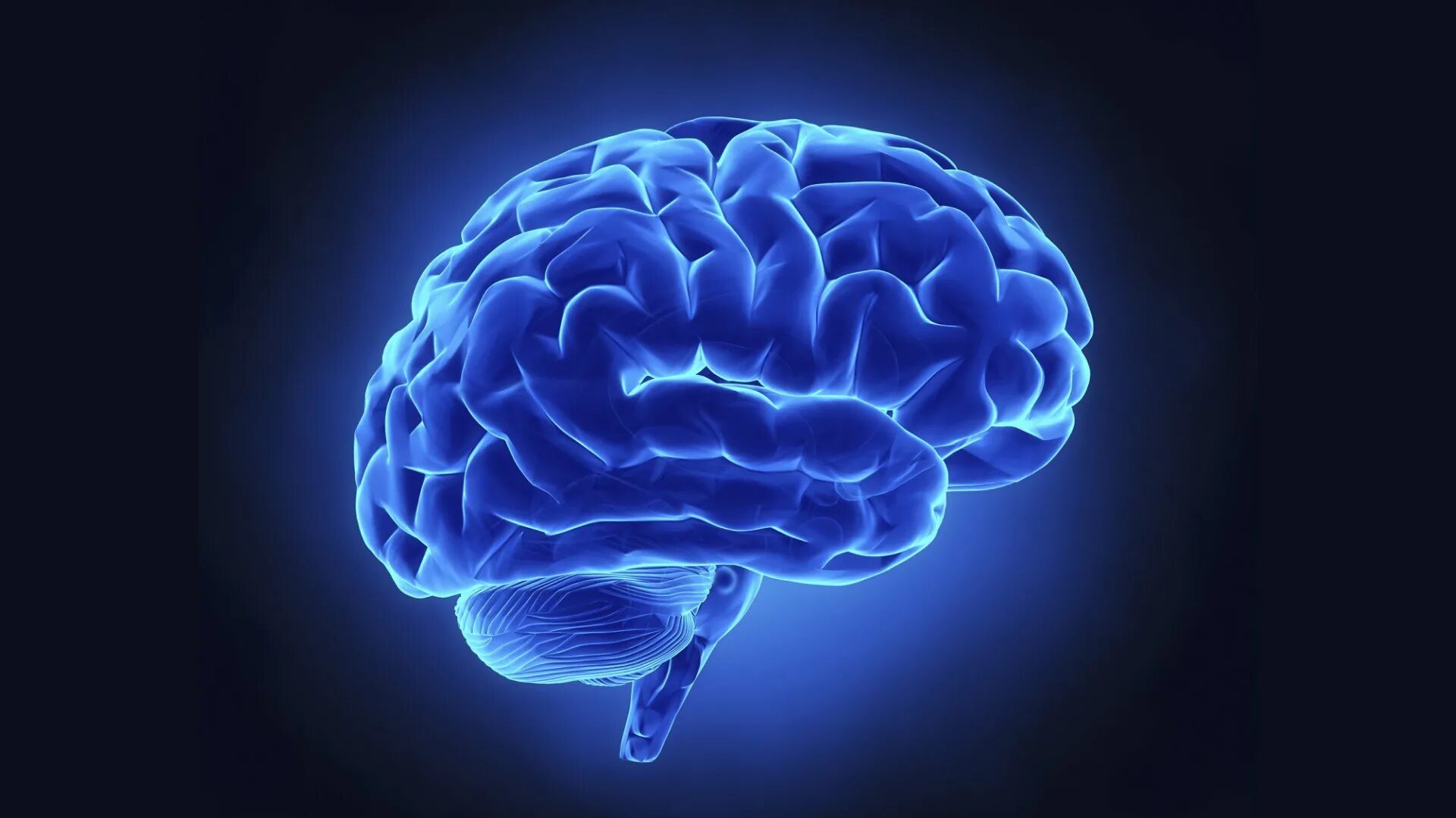 Brain h. Синий мозг. Неоновый мозг. Красивый мозг.
