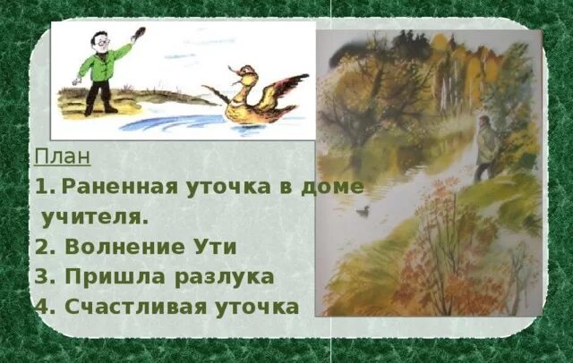 План сказки белая уточка. Иллюстрация к сказке белая уточка. Иллюстрация к сказке белая уточка. Белая уточка план. Рисунок к сказке белая уточка.