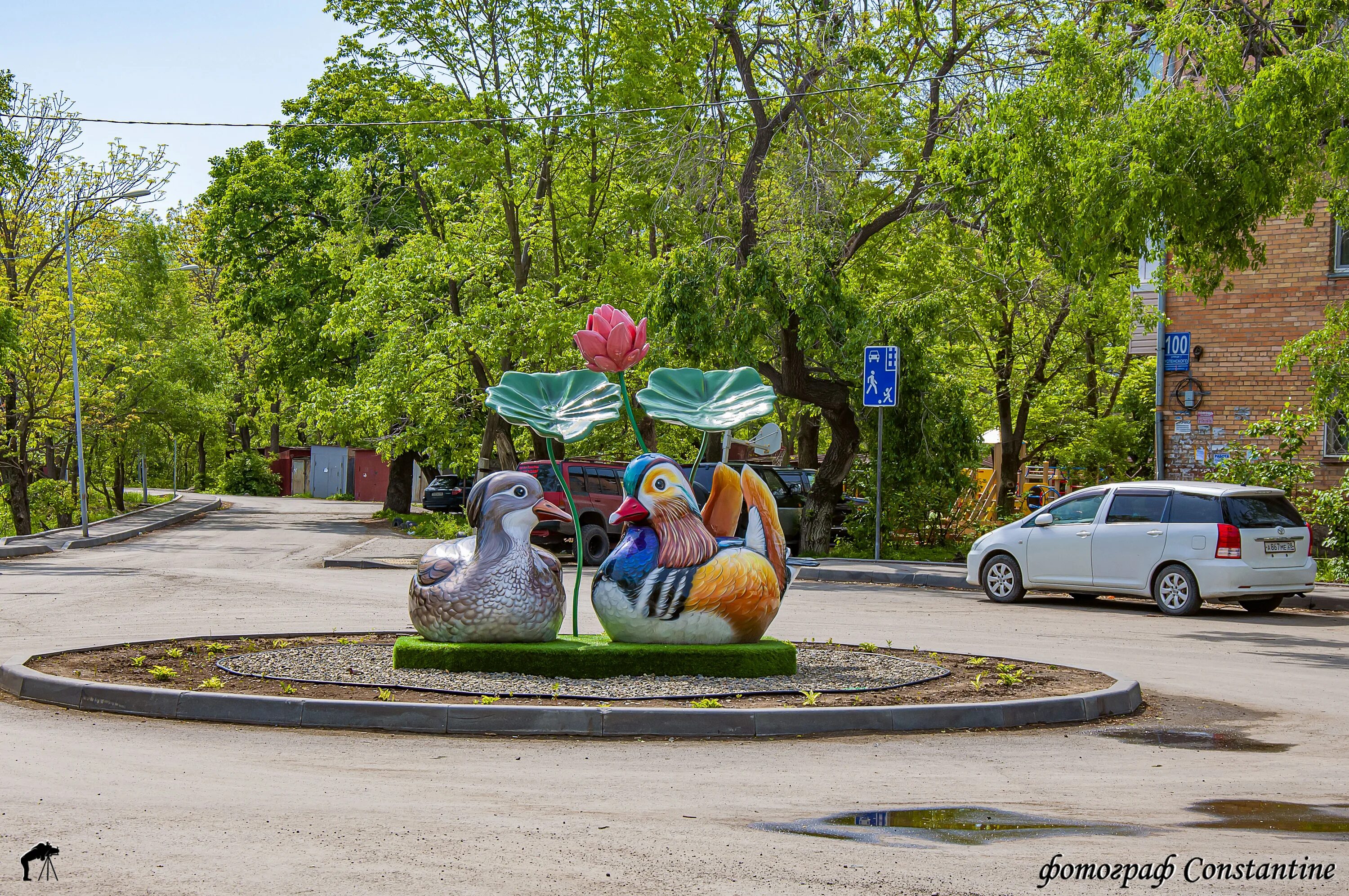 Утки мандаринки владивосток