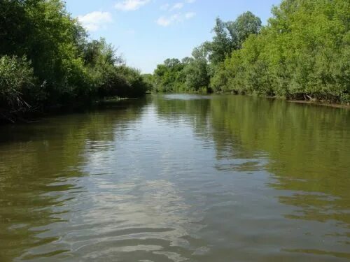 Река лосиха Алтайский край. Село Вылково Алтайский край. Река лосиха Алтайский край Барнаул. Река лосиха Алтайский край фото. Погода лосиха алтайский край