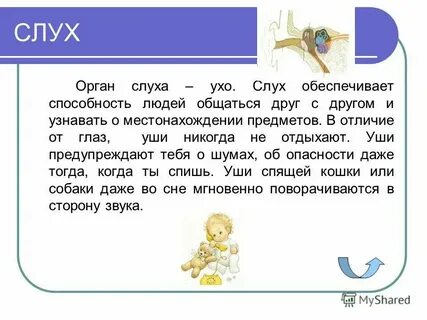 Слухи доклад