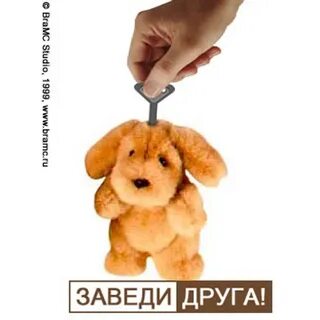 Ну заводить
