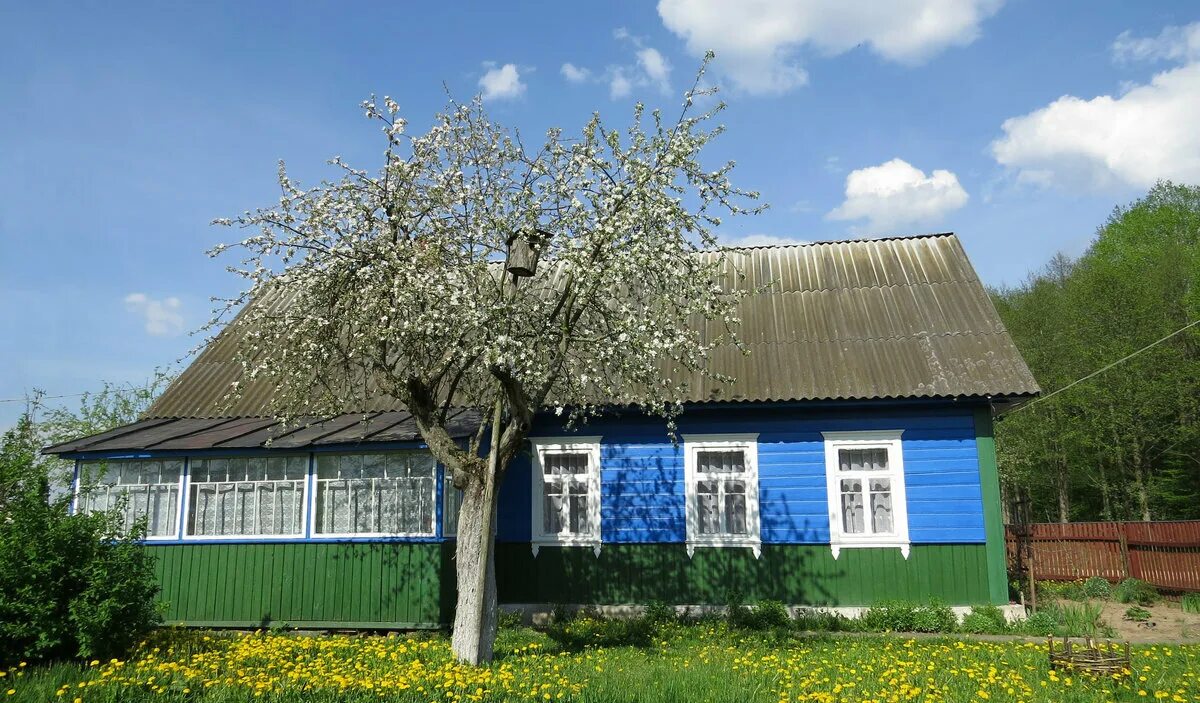 Куплю дом в деревне в белоруссии
