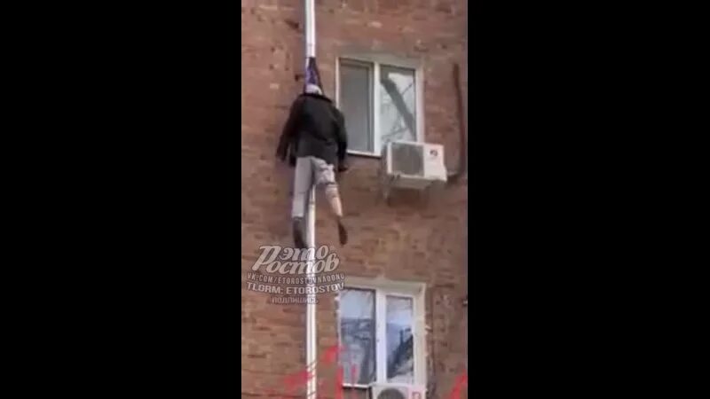 выпал деда. Vortex vanquisher геншин импакт. выпал деда. выпал деда. дед когда выпал.