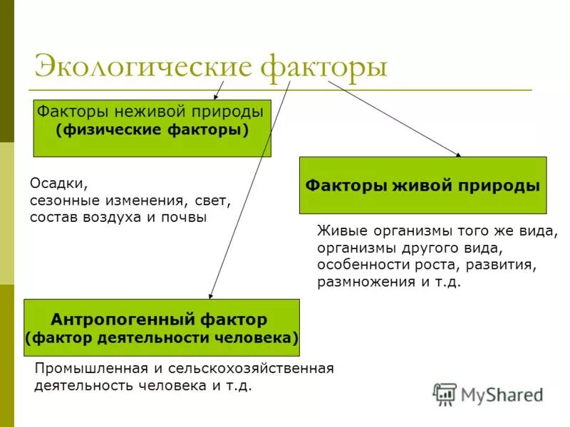 Определи факторы неживой природы выбери