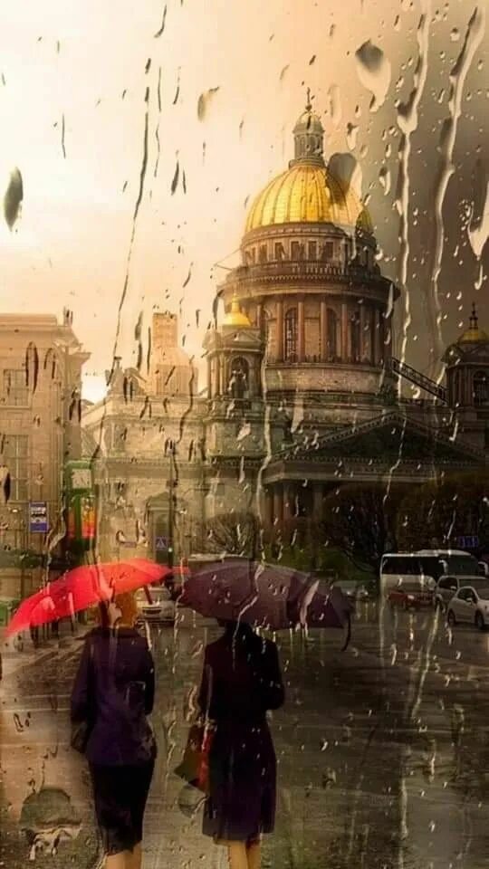 Промозглый питер. Дождь в питере. Дождь в петербурге. Дождливый питер. Петербург осень дождь.