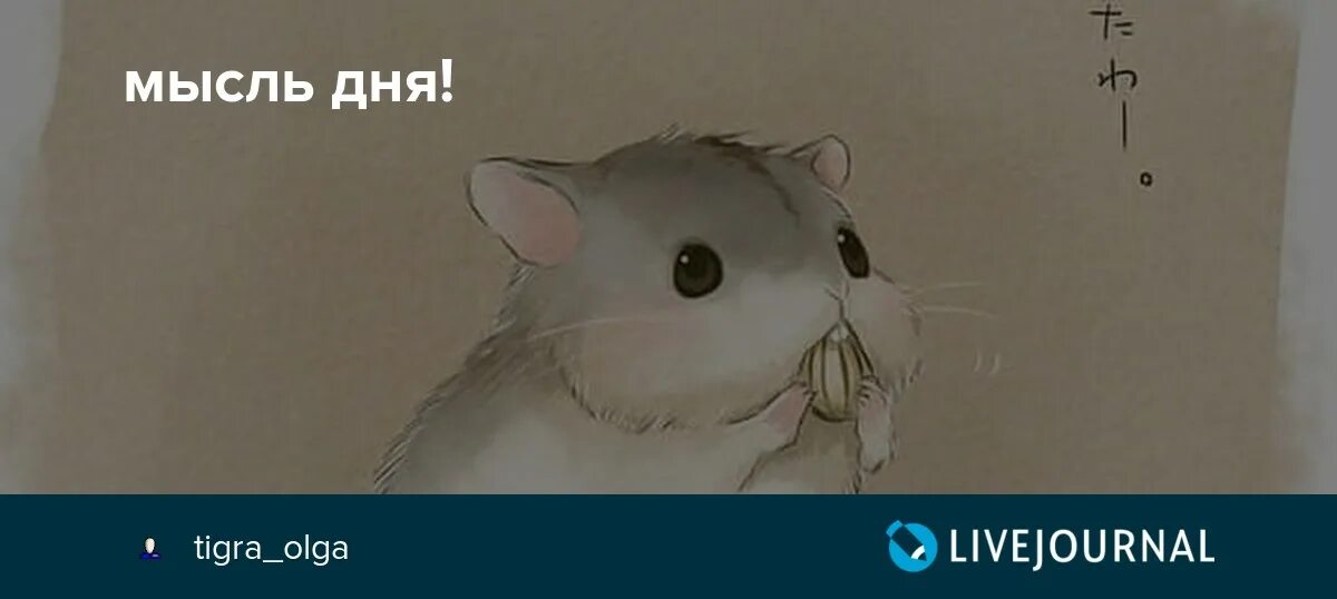 Весь день мысль. Мысль дня. классного дня мысли.