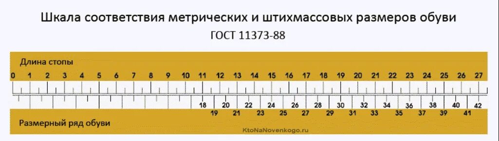 Size scale