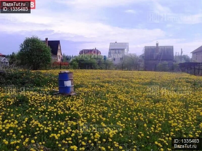 Погода деньково московская область
