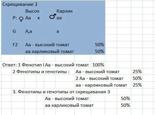 У томатов нормальная высота растений доминирует. У томатов нормальная высота растения доминирует над карликовым. У томатов нормальная высота растения. У томата нормальная высота растений а доминирует над карликовостью а.