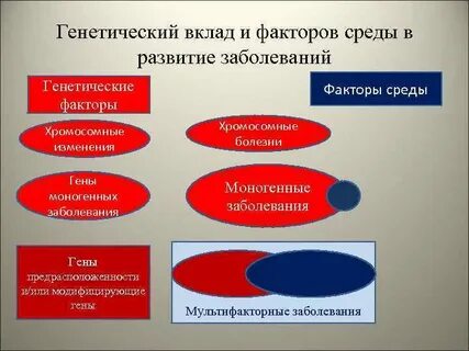 Влияние генетических и средовых факторов на развитие