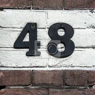 Скулс48