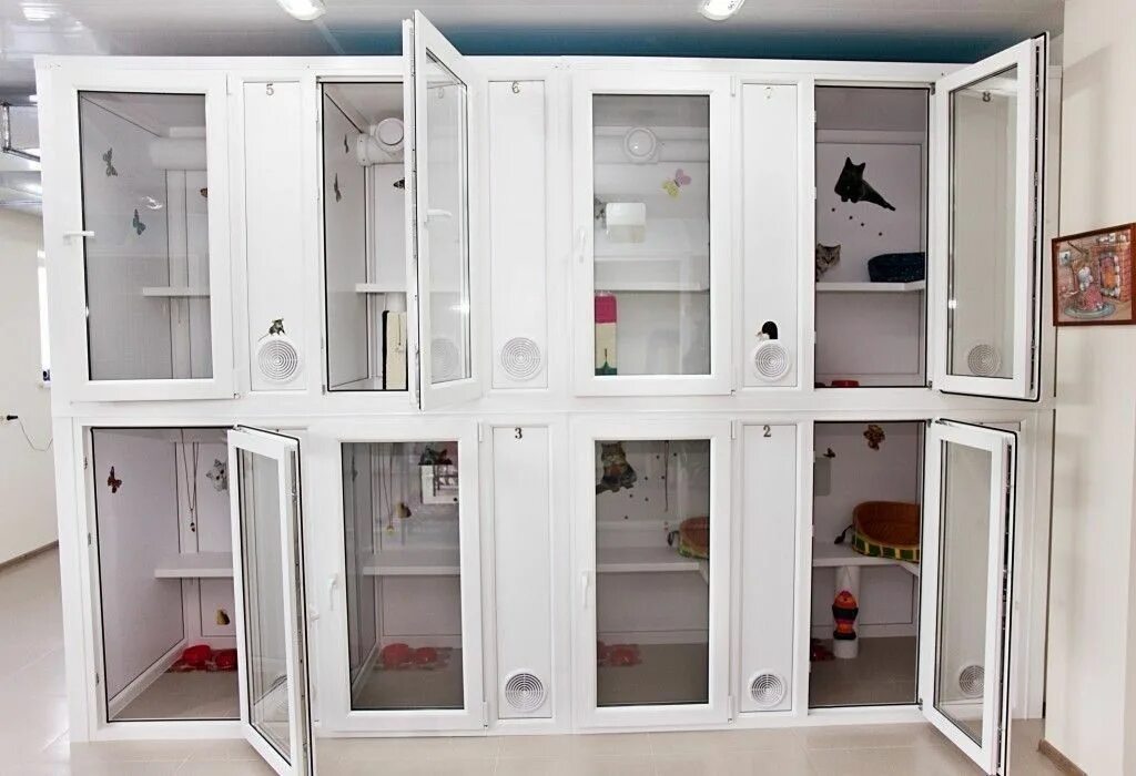 Гостиница для животных волгоград. Оборудование для зоогостинец. Зоогостиницы для собак. Гостиница для животных волгоград. Гостиница для кошек.