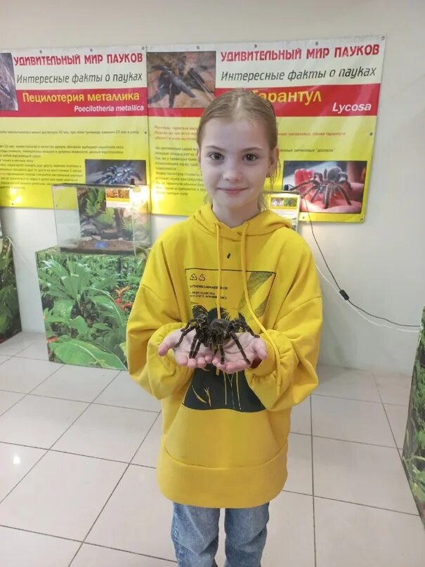 Выставка пауков пермь 2025. Выставка пауков. пауки жуковский выставка. выставка пауков жуковский 2025.