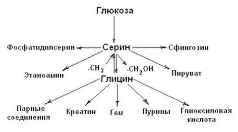 Глицин из глюкозы