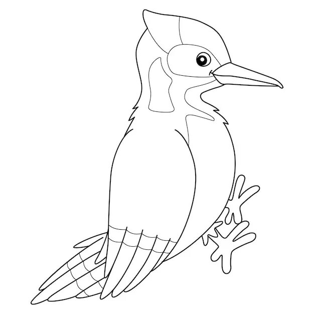 Раскраска дятел для детей распечатать Woodpecker coloring sheet Раскраски, Дятел, Лесные животные
